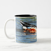 Tasse 2 Couleurs Shoveler Duck (Gauche)