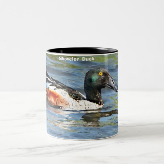 Tasse 2 Couleurs Shoveler Duck (Centre)