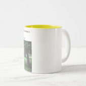 Tasse 2 Couleurs Si le monde allait disparaître (Devant droit)