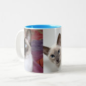 TASSE 2 COULEURS SIAMESE (Devant gauche)