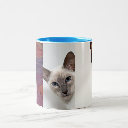 TASSE 2 COULEURS SIAMESE (Centre)