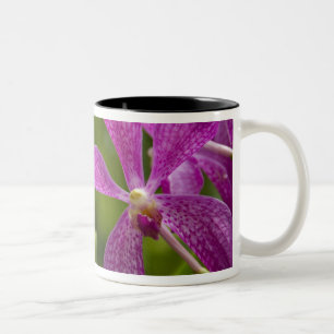 Tasse 2 Couleurs Singapour Sanskrit pour la ville du lion). Nationa