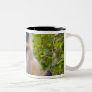 Tasse 2 Couleurs Singe dans la jungle du parc national de Ranthambo