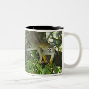Tasse 2 Couleurs Singe écureuil commun, (Saimiri sciureus), Rio