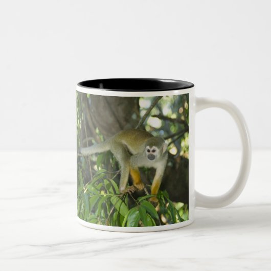 Tasse 2 Couleurs Singe écureuil commun, (Saimiri sciureus), Rio (Droit)