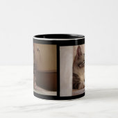 TASSE 2 COULEURS SNIX (Centre)