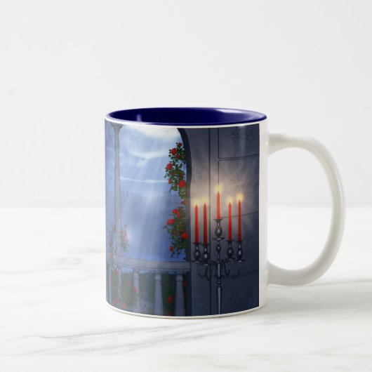Tasse 2 Couleurs Son manteau d'argent (Droit)