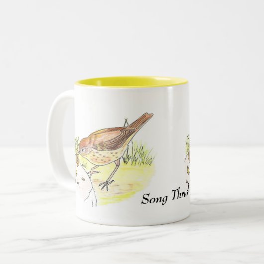 Tasse 2 Couleurs Song Thrush (Devant gauche)