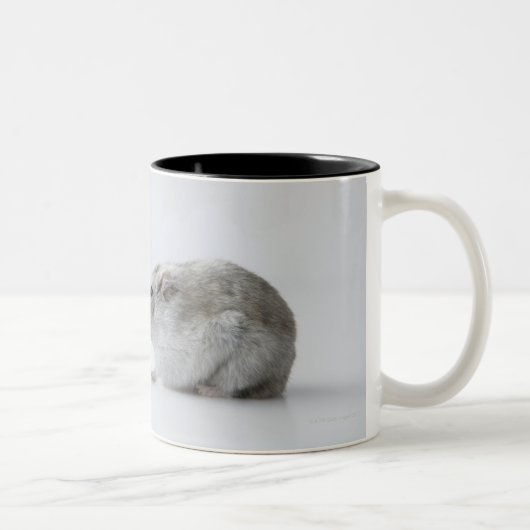 Tasse 2 Couleurs Souris de hamster et d'ordinateur (Droit)