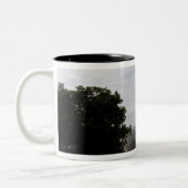 Tasse 2 Couleurs Space Shuttle Endeavor se lève de 3 (Gauche)