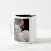 Tasse 2 Couleurs Sphynx (Devant gauche)