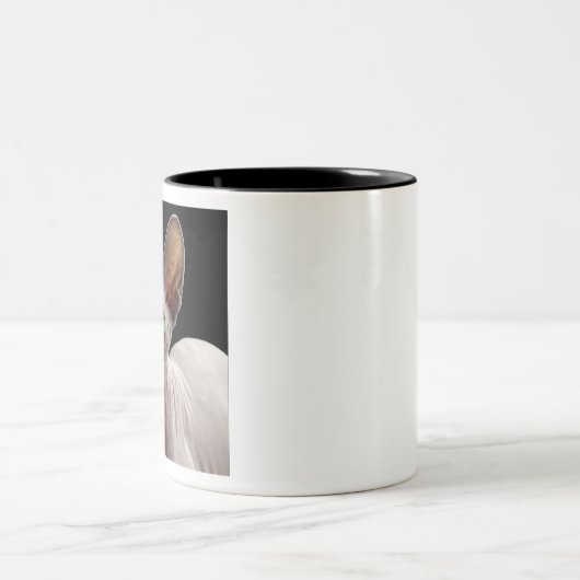 Tasse 2 Couleurs Sphynx (Centre)