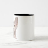 Tasse 2 Couleurs Sphynx (13 mois) (Centre)