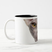 Tasse 2 Couleurs Sphynx (7 mois) (Gauche)