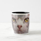 Tasse 2 Couleurs Sphynx (7 mois) (Centre)