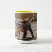 Tasse 2 Couleurs Sphynx Kitten et fromage (Centre)