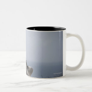 Tasse 2 Couleurs springer spaniel noir et blanc jouant avec