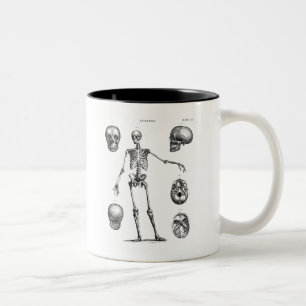 Tasse 2 Couleurs Squelettes antiques squelettiques d'anatomie de
