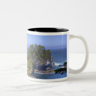 Tasse 2 Couleurs Stacks marins, terres tribales de la nation Makah,