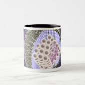 Tasse 2 Couleurs Structure 2 de virus du herpès (Centre)