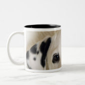 Tasse 2 Couleurs studio (Gauche)