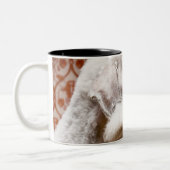 Tasse 2 Couleurs Studio tiré de Bedlington Terrier (Gauche)