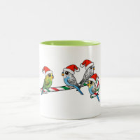 Sucre de canne Père Noël Budgies