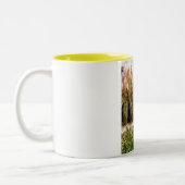 Tasse 2 Couleurs Sundial dans un jardin de Guernesey (Gauche)