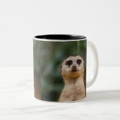Tasse 2 Couleurs Suricate 001 (Devant droit)