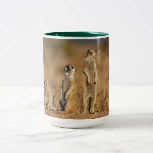 Tasse 2 Couleurs Suricate Animal Safari Afrique Mignon