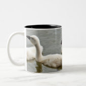 Tasse 2 Couleurs Swan (Gauche)