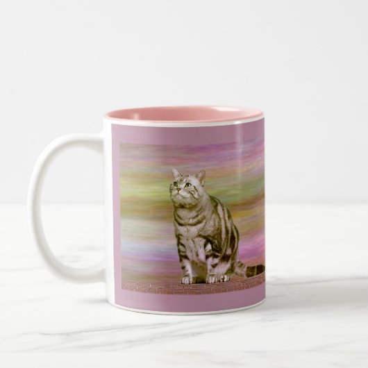 Tasse 2 Couleurs Tabby argenté (Gauche)