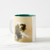 Tasse 2 Couleurs Takeuchi Seiho,Tabby Cat (Devant gauche)