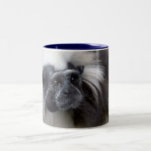 Tasse 2 Couleurs Tamarin de Coton-Dessus