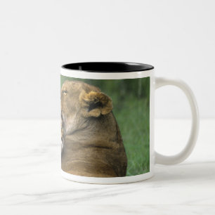 Tasse 2 Couleurs Tanzanie, cratère de Ngorongoro. Mère des lions af