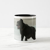 Tasse 2 Couleurs Tarifa, Cadix, Andalousie, Espagne (Centre)