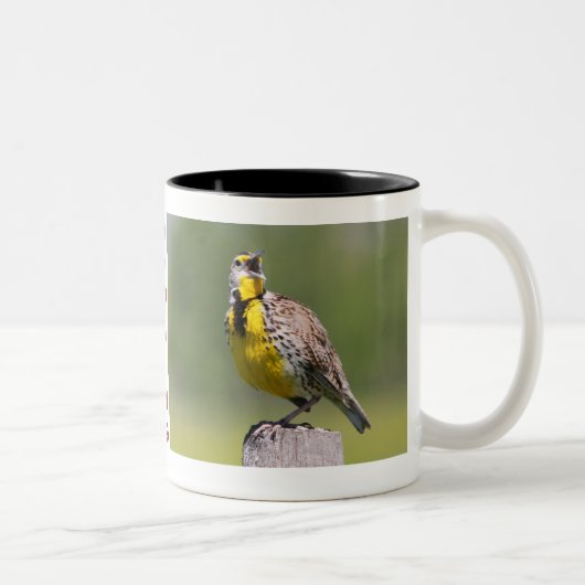 Tasse 2 Couleurs Tasse-Meadowlark du Wyoming (Droit)