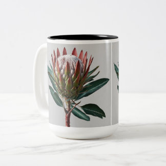 Tasse 2 Couleurs Taza Protea