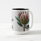 Tasse 2 Couleurs Taza Protea (Devant droit)