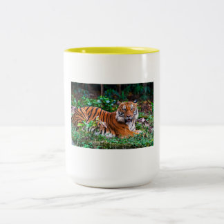 Tasse 2 Couleurs taza tg