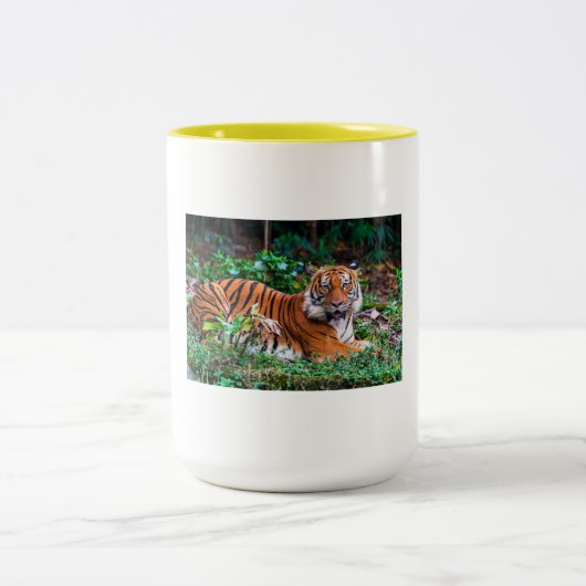 Tasse 2 Couleurs taza tg (Centre)