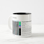 Tasse 2 Couleurs Technologie de RHK - août 2007 image du mois (Devant gauche)