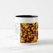 Tasse 2 Couleurs Technologie de RHK - janvier 2008 image de la (Centre)