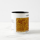 Tasse 2 Couleurs Technologie de RHK - octobre 2008 image du mois (Centre)