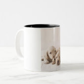 Tasse 2 Couleurs Teckel de deux miniatures (Devant gauche)