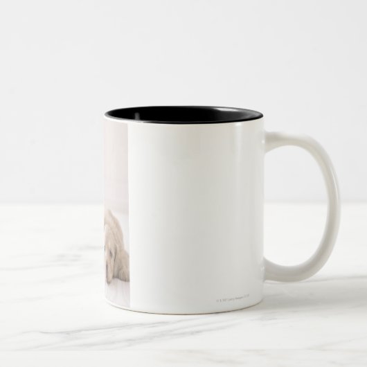 Tasse 2 Couleurs Teckel de deux miniatures (Droit)