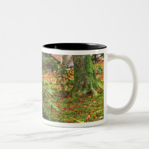 Tasse 2 Couleurs Temple Giohji, Arashiyama, Kyoto, Japon