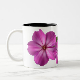 Tasse 2 Couleurs Teo
