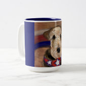 TASSE 2 COULEURS TERRIER AIREDALE (Devant gauche)