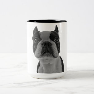 Tasse 2 Couleurs Terrier de Boston